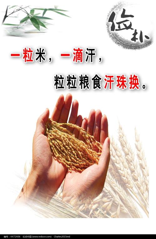 学历认证里的报告编号是啥意思